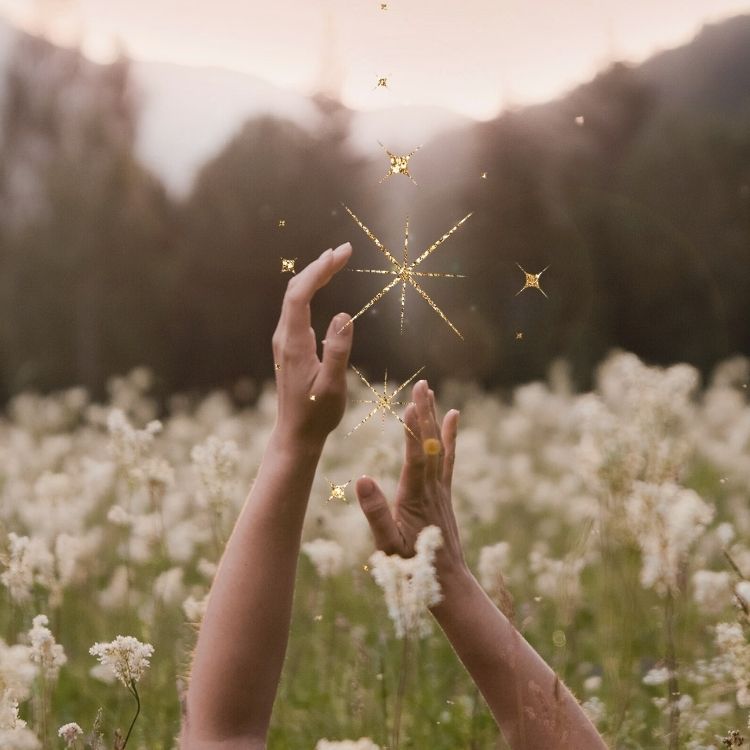 Magie Wiese Wald Hände